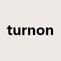 turnon是什么意思