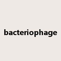 bacteriophage是什么意思