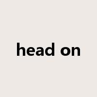 head on是什么意思