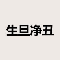 生旦净丑是什么意思