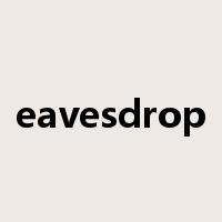 eavesdrop是什么意思