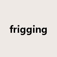 frigging是什么意思