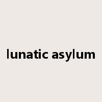 lunatic asylum是什么意思