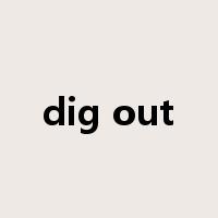 dig out是什么意思