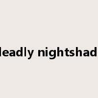 deadly nightshade是什么意思