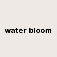 water bloom是什么意思