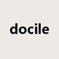 docile是什么意思
