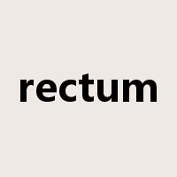 rectum是什么意思