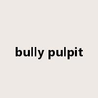 bully pulpit是什么意思