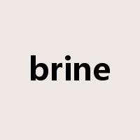 brine是什么意思