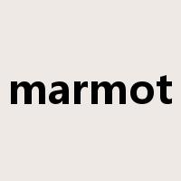 marmot是什么意思
