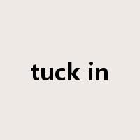 tuck in是什么意思