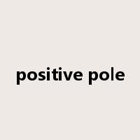 positive pole是什么意思