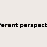 different perspective是什么意思