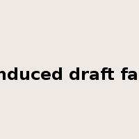 induced draft fan是什么意思