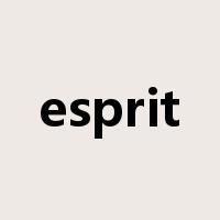 esprit是什么意思
