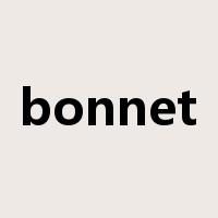 bonnet是什么意思