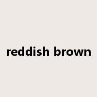 reddish brown是什么意思