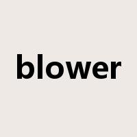 blower是什么意思