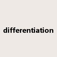 differentiation是什么意思