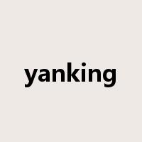 yanking是什么意思