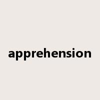 apprehension是什么意思