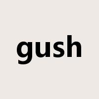 gush是什么意思