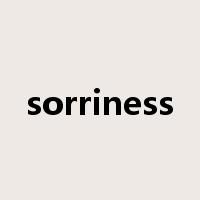 sorriness是什么意思
