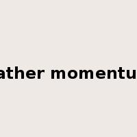 gather momentum是什么意思
