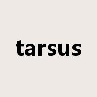 tarsus是什么意思