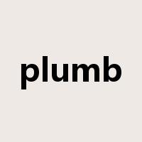plumb是什么意思
