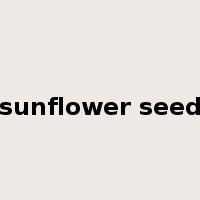 sunflower seed是什么意思