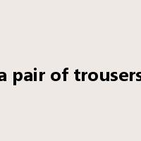 a pair of trousers是什么意思