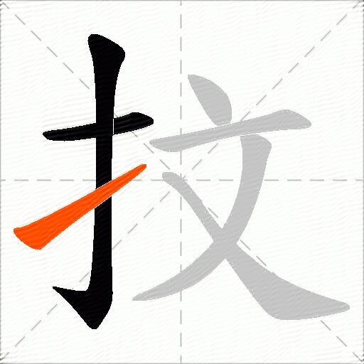 抆