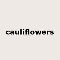 cauliflowers是什么意思