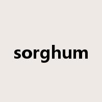 sorghum是什么意思