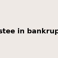 trustee in bankruptcy是什么意思