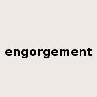 engorgement是什么意思