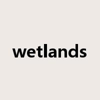 wetlands是什么意思