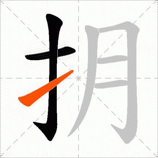 抈