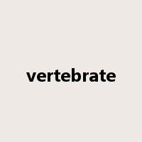vertebrate是什么意思