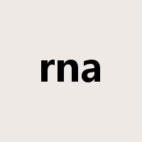 rna是什么意思