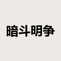 暗斗明争是什么意思