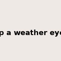 keep a weather eye on是什么意思