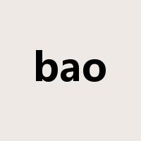 bao是什么意思