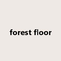 forest floor是什么意思