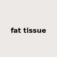 fat tissue是什么意思