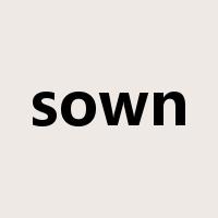 sown是什么意思