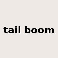 tail boom是什么意思