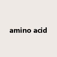 amino acid是什么意思